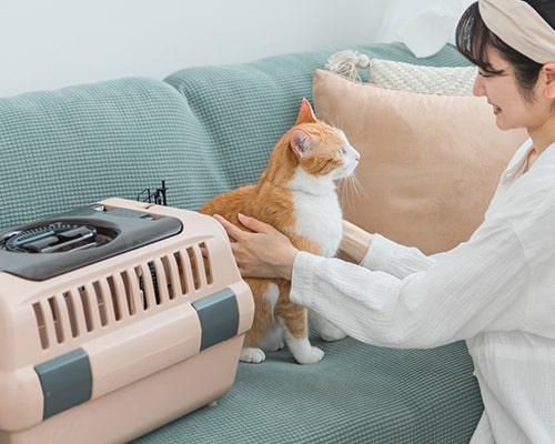 来院される前に