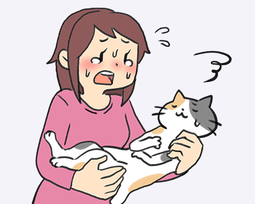 夜間救急の場合はこちら