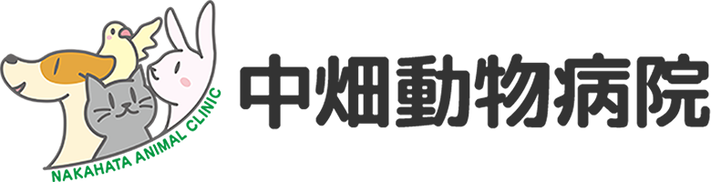 中畑動物病院