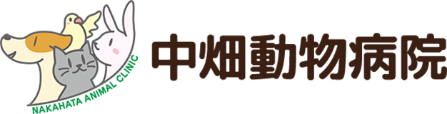中畑動物病院